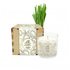 Meditation Candle in Box - Lemongrass