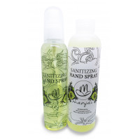 Sanitizing Hand Spray Banded Pack